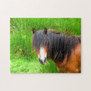 WELSH MOUNTAIN PONY PUZZLE