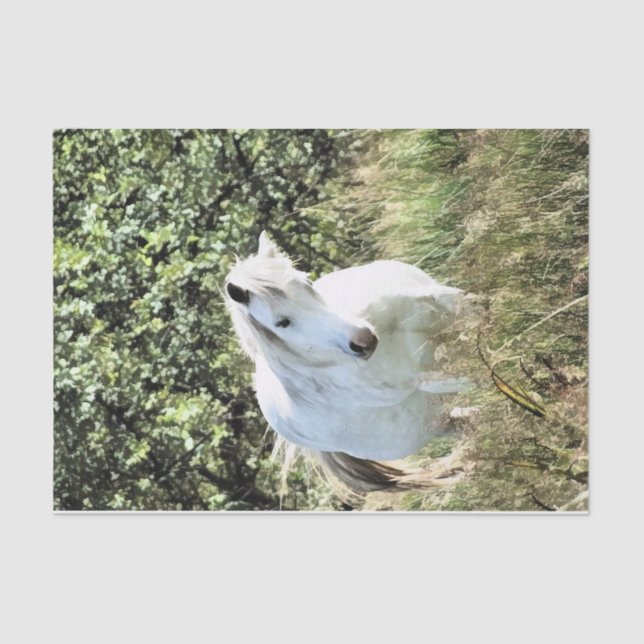 WELSH MOUNTAIN PONY SEIDENPAPIER (Vorderseite)