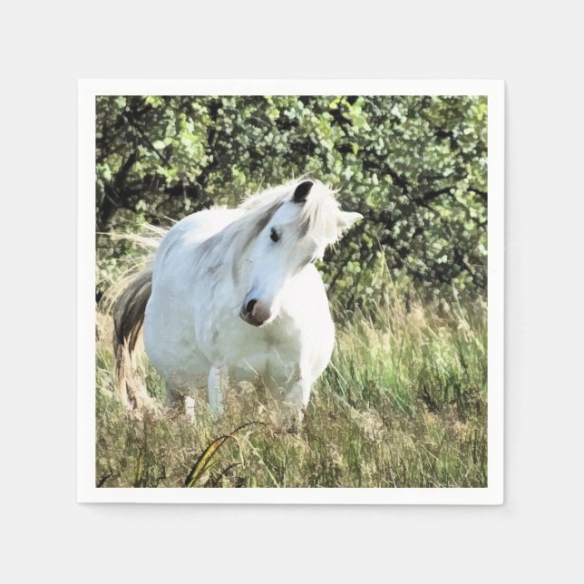 WELSH MOUNTAIN PONY SERVIETTE (Vorderseite)