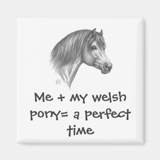 Welsh Pony & Cob Society of America Magnet
