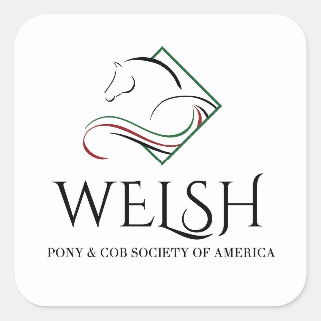 Welsh Pony & Cob Stickers (Vorderseite)