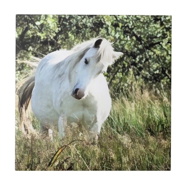 WELSH PONY FLIESE (Vorderseite)