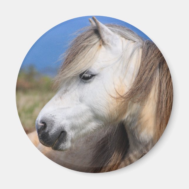Welsh Pony Magnet (Vorne)