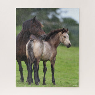 Welsh Section D Mare and Foal Stehend Puzzle
