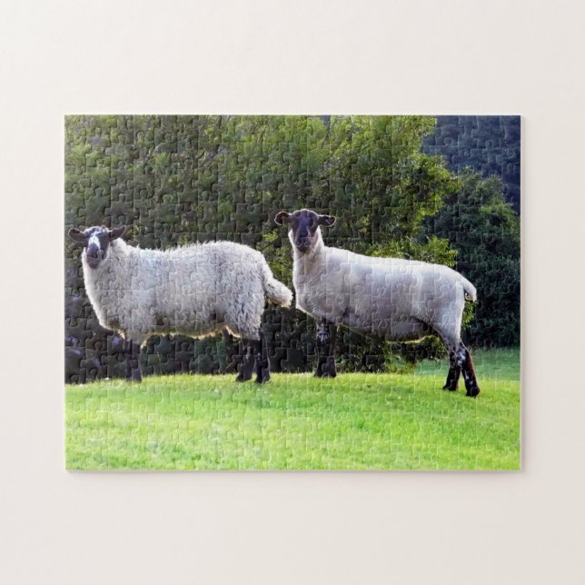 Welsh Sheep Puzzle (Horizontal)