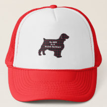 Welsh Springer SPANIEL BESTE FREUNDIN