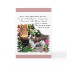 Welsh Springer Spaniel Kunstgeschenke
