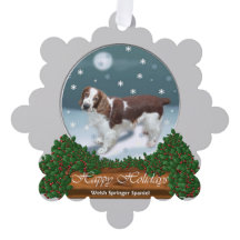 Welsh Springer Spaniel Weihnachtsgeschenke