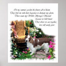 Welsh Springer Spanisch Art Print