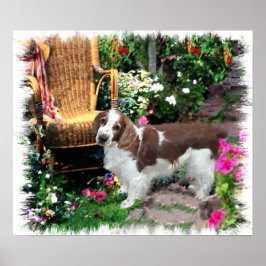 Welsh Springer Spanisch Art Print Poster