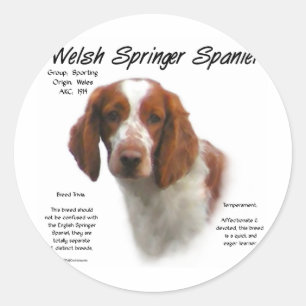 Welsh Springer Spanisch History Design Runder Aufkleber