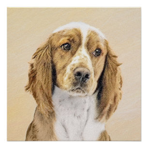Welsh Springer Spanischmalerei - Original Dog Art Poster