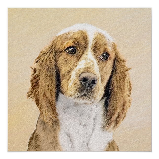Welsh Springer Spanischmalerei - Original Dog Art Poster (Vorderseite)