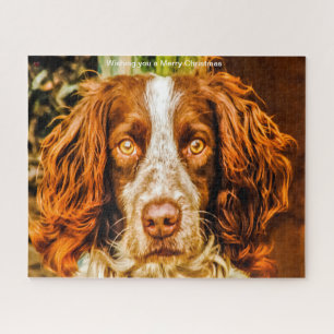 Welsh Springer unser Familienpet Jigsaw Puzzle
