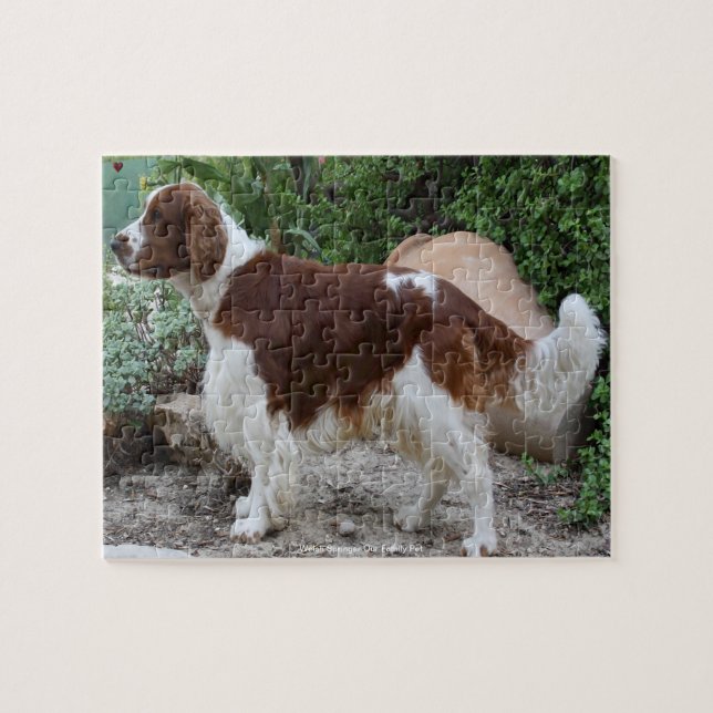 Welsh Springer unser Haustier Puzzle (Horizontal)