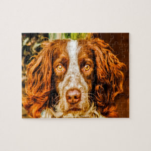 Welsh Springer unser Haustier Puzzle