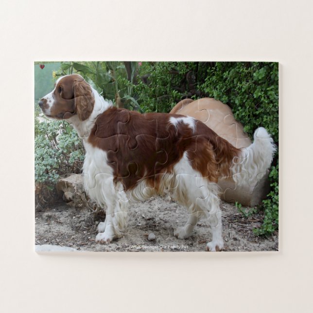 Welsh Springer unser Haustier Puzzle (Horizontal)