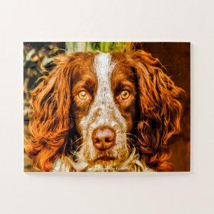 Welsh Springer unser Haustier Puzzle