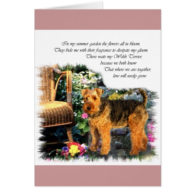 Welsh Terrier Art Geschenke (Vorne)