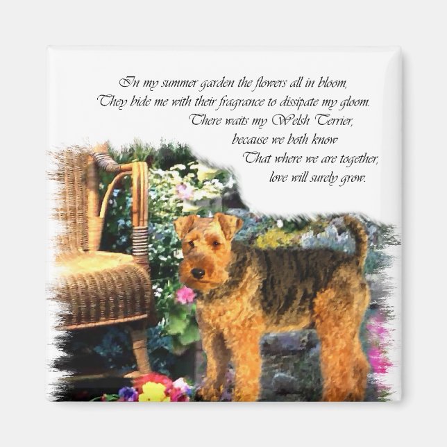 Welsh Terrier Art Geschenke Magnet (Vorne)
