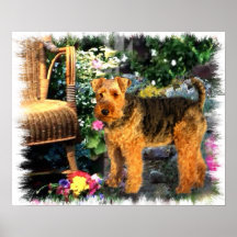 Welsh Terrier Art Print