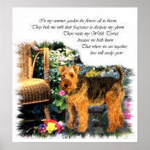 Welsh Terrier Art Print