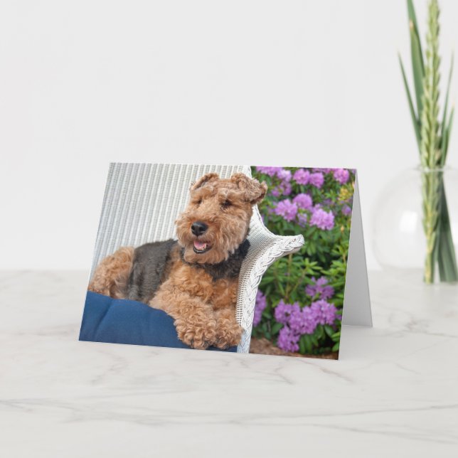 Welsh Terrier Birthday Karte (Vorderseite)