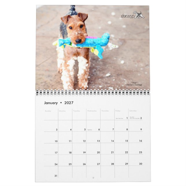 Welsh Terrier Calendar Kalender (Jan 2027)