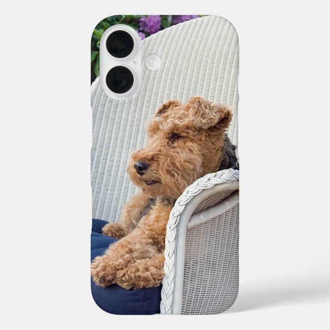 Welsh Terrier Case-Mate iPhone Hülle (Rückseite)