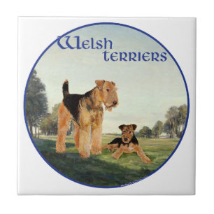 Welsh-Terrier Fliese