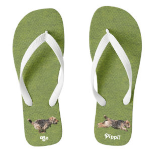 Welsh Terrier Flip Flops laufen