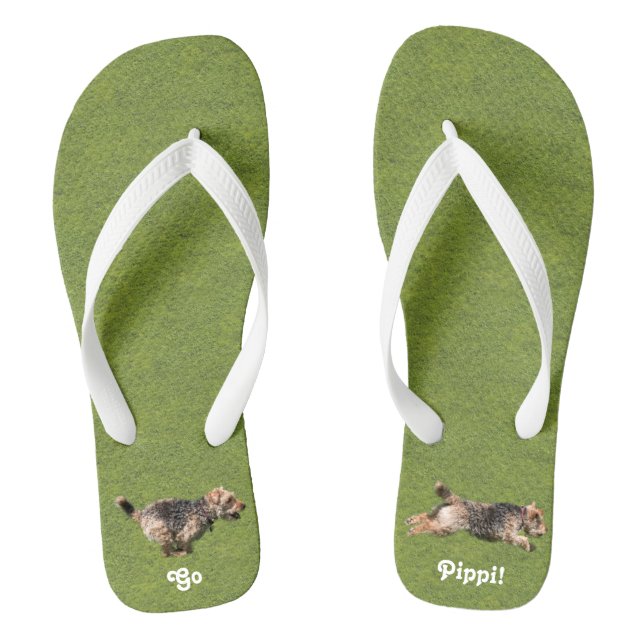Welsh Terrier Flip Flops laufen (Fußbett)