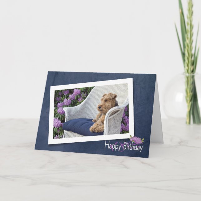 Welsh Terrier Geburtstag Karte (Vorderseite)
