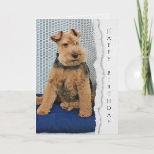 Welsh Terrier Geburtstagskarte Karte