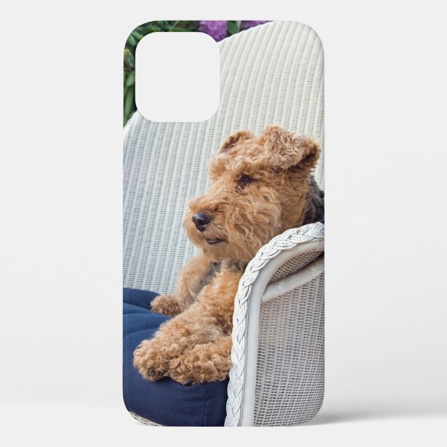 Welsh Terrier im Wicker-Vorsitz Case-Mate iPhone Hülle (Rückseite)