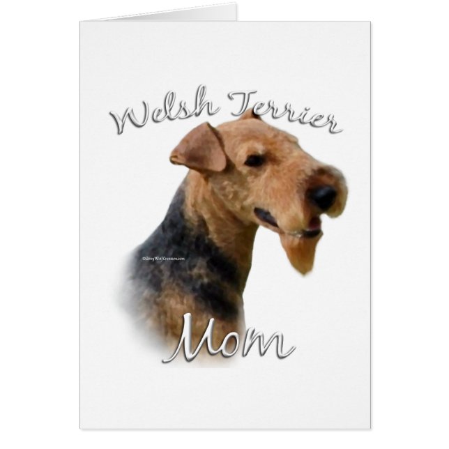 Welsh Terrier Mama 2 (Vorne)