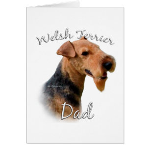 Welsh Terrier Vater 2