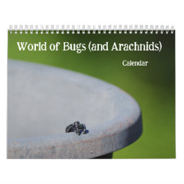 Welt der Bugs und Arachniden Creepy Crawly Kalender