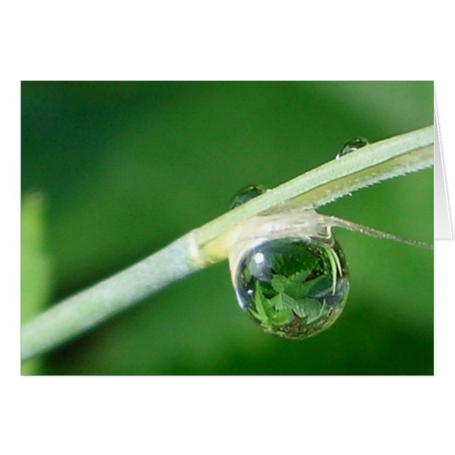 Welt in Tröpfchen (Vorderseite (Horizontal))