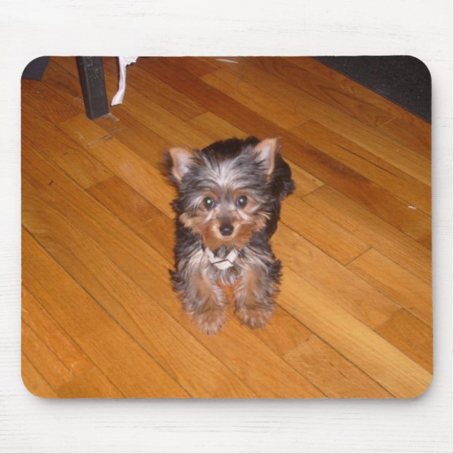 WELT KIARAS MOUSEPAD (Vorne)