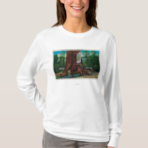 Weltberühmtes Baum-Haus, Lilley Rotholz-Park T-Shirt