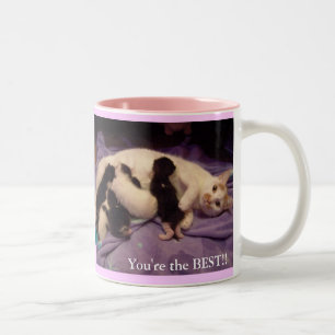 Weltbester Babysitter!!! Zweifarbige Tasse