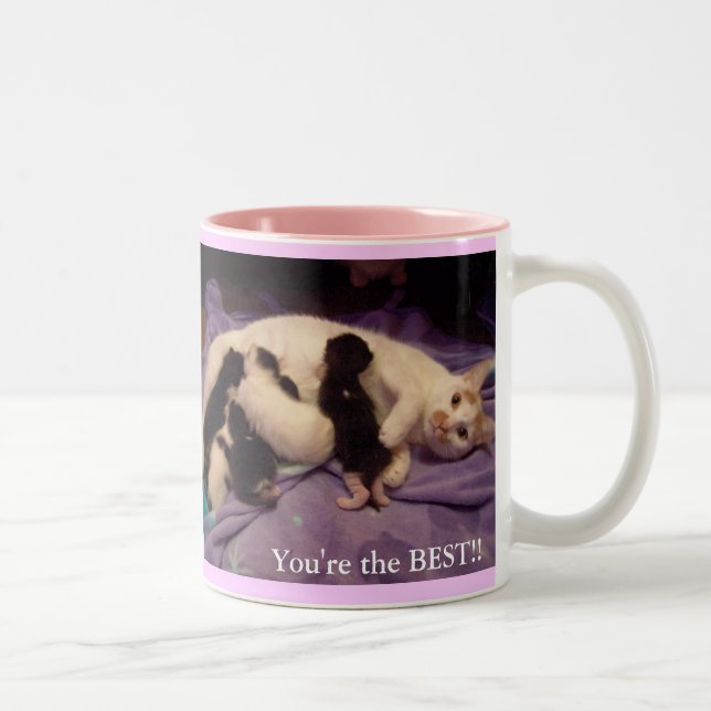 Weltbester Babysitter!!! Zweifarbige Tasse (Rechts)