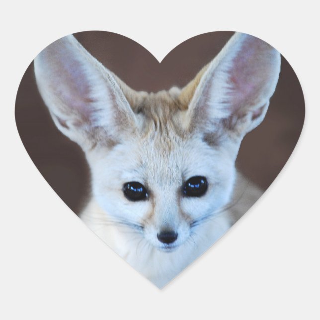 Welten Niedlicher Fennec Fox Herz-Aufkleber (Vorderseite)