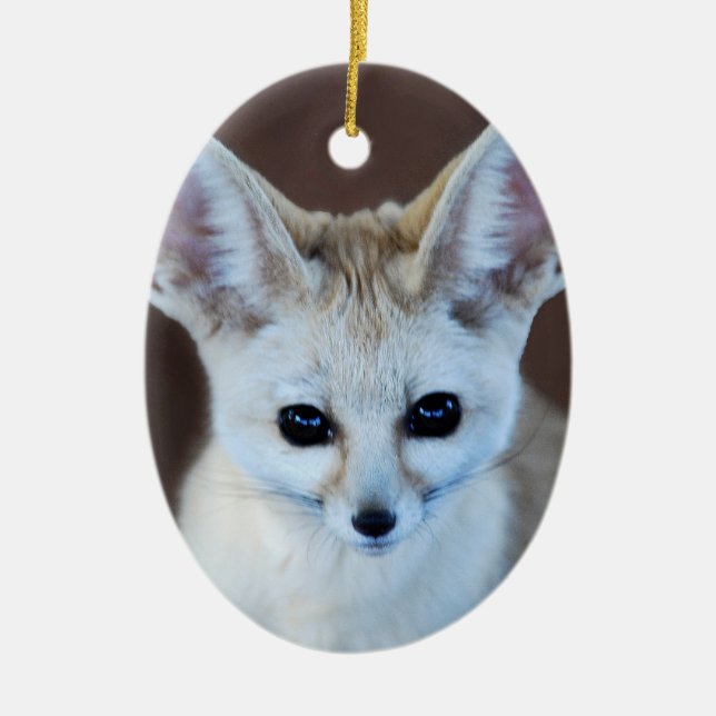 Welten Niedlicher Fennec Fox Keramik Ornament (Vorne)