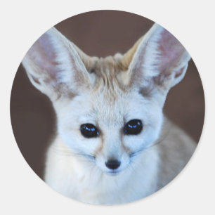 Welten Niedlicher Fennec Fox Runder Aufkleber