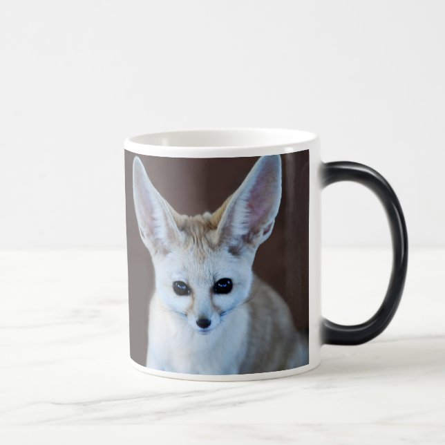 Welten Niedlicher Fennec Fox Verwandlungstasse (Rechts)