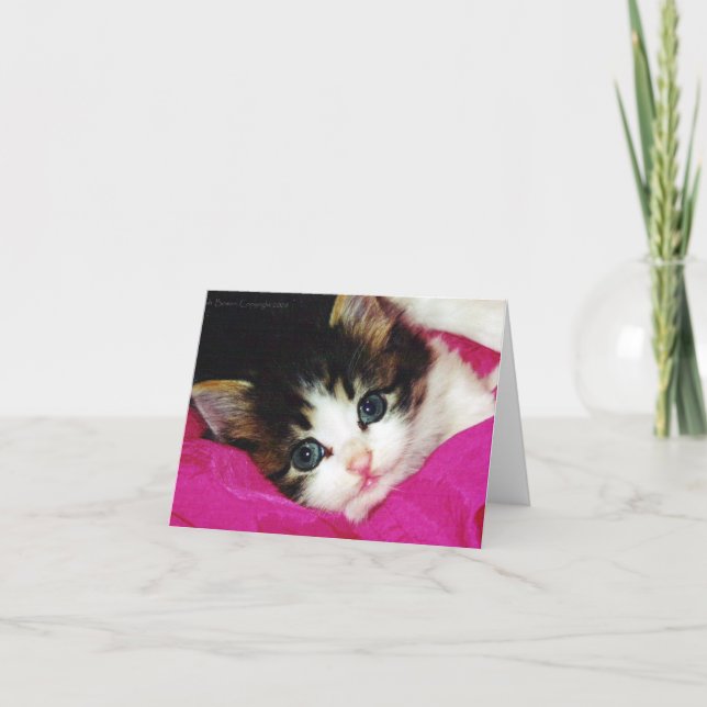 Welten Niedlicher Kitten Karte (Vorderseite)