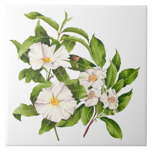 'Weltfrieden' auf einer Keramik Fliese (Vorderseite)