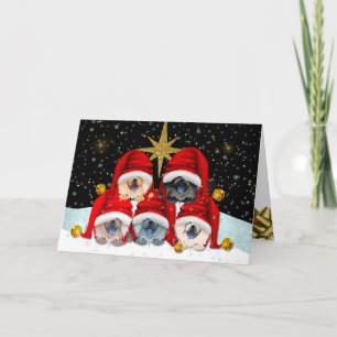 WELTFRIEDEN Chow Art Cards Karte